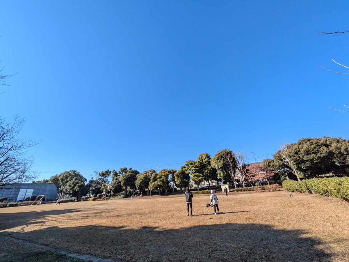 公園の広場