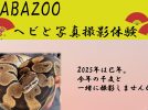 【柏市】2025年1月18日(土)～19日(日)、25日(土)～26日(日) ヘビと写真撮影体験！ in セブンパークアリオ柏