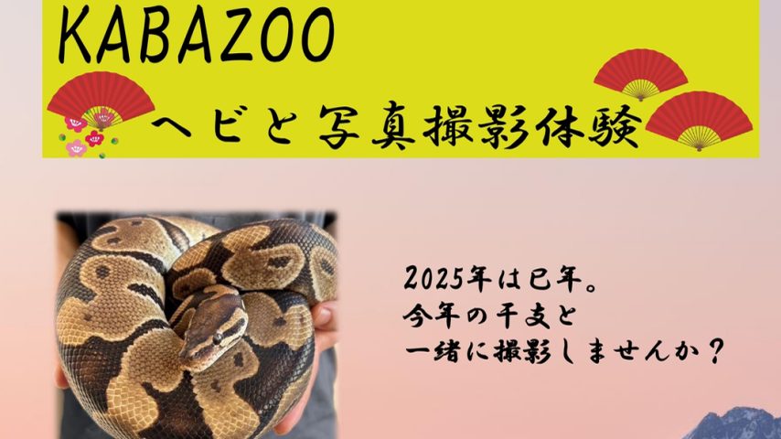 【柏市】2025年1月18日(土)～19日(日)、25日(土)～26日(日) ヘビと写真撮影体験！ in セブンパークアリオ柏