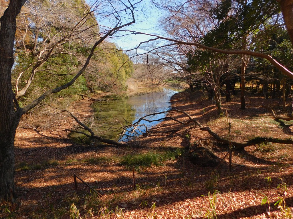 【写真１】　理窓公園　冬のひょうたん池