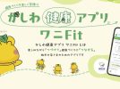 【柏市】フレイル予防にいかがですか？柏市民の健康アプリ「ワニFit」誕生！