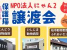 【流山市】【柏市】2025年2月のねこ情報～2/8(土),15(土),22(土)保護猫譲渡会 by NPO法人にゃん2