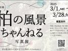 【柏市】2025年3月8日(土)～18日(木) kamonかしわインフォメーションセンターにて「柏の風景ちゃんねる写真展」開催！