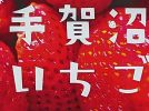 【柏市】【我孫子市】手賀沼いちごスタンプラリー2025開催中！～2025年3月23日(日)まで～