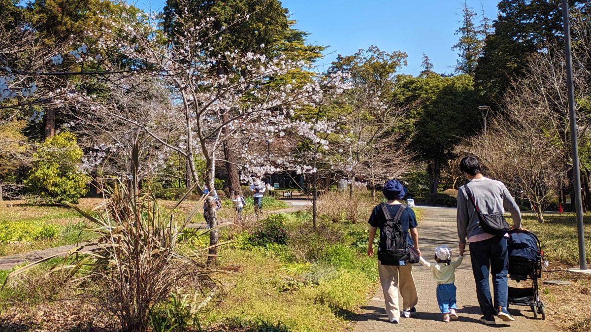 【柏市】2025年3月25日(火)～28(金) 桜の季節の園内散策 ＠麗澤の森