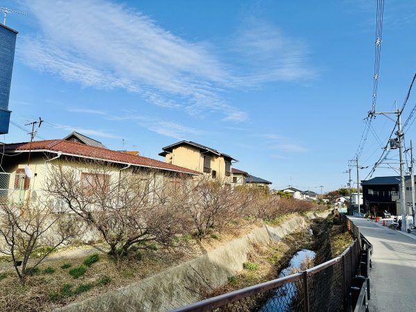 箕川観梅ウィーク会場入り口