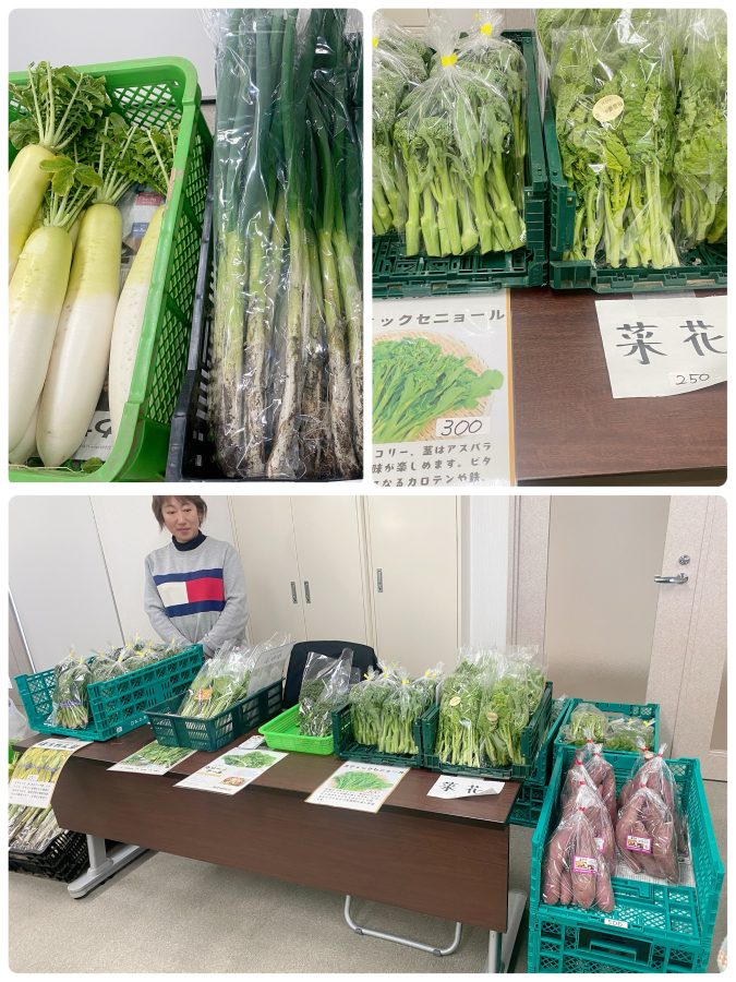 【なかだfarm】〜江戸時代から続く農家〜旬の冬野菜の販売はどれも食べてみたくなる！今後注目して購入し続けたい農家さんでした