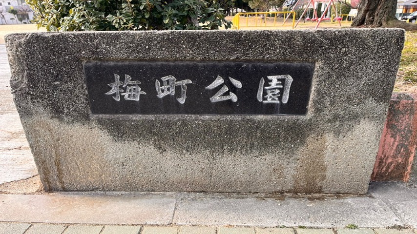 【中百舌鳥】近隣住民の憩いの場！季節の花を楽しめる梅町公園