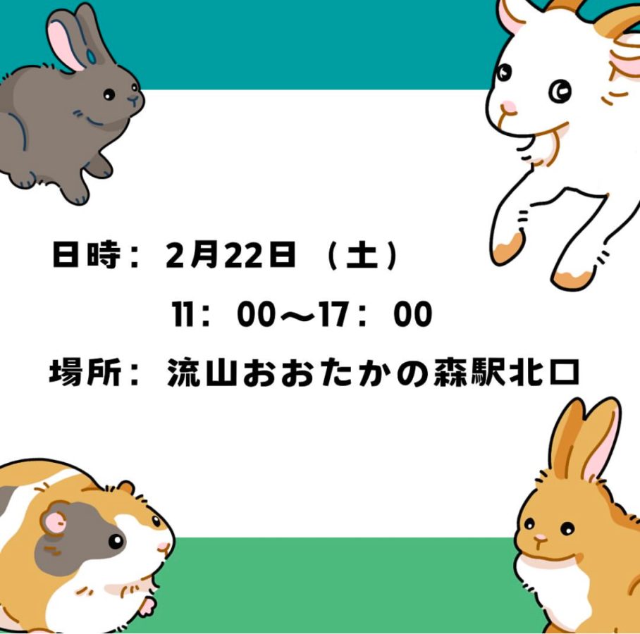 【North Square Market vol.22】に可愛い動物たちが出張するよー♩