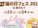 【柏市】2025年2月22日(土)～24日(月・祝)　猫の日フェス in 柏マルイ by にゃんこみゅ