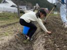 【茨木市】3月23日（日）に車作の農園で「じゃがいも植え付け体験」があるみたい！申込みは3月16日（日）まで（先着順）