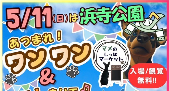 【浜寺公園】5月11日（日）はわんこに特化したイベント「マメのしっぽマーケット」が開催！
