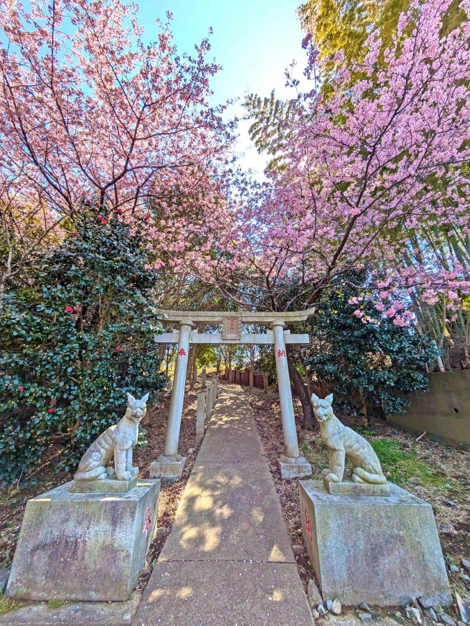 陣屋跡の裏山には三峰神社があり、陣屋跡の隣に参道の入口があります。