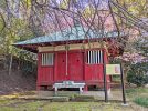 【柏市】オンライン柏学検定振り返りvol.07～江戸時代の陣屋の場所を問う出題～