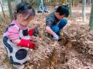 【流山市】春を掘り出す1日♩親子で楽しむ前ヶ崎『気まぐれ市』タケノコ掘り体験レポ！