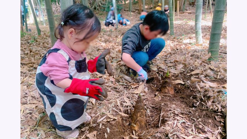 【流山市】春を掘り出す1日♩親子で楽しむ前ヶ崎『気まぐれ市』タケノコ掘り体験レポ！