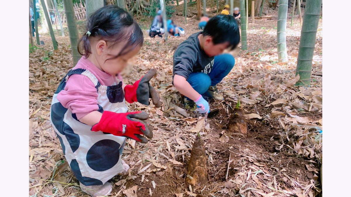 【流山市】春を掘り出す1日♩親子で楽しむ前ヶ崎『気まぐれ市』タケノコ掘り体験レポ！
