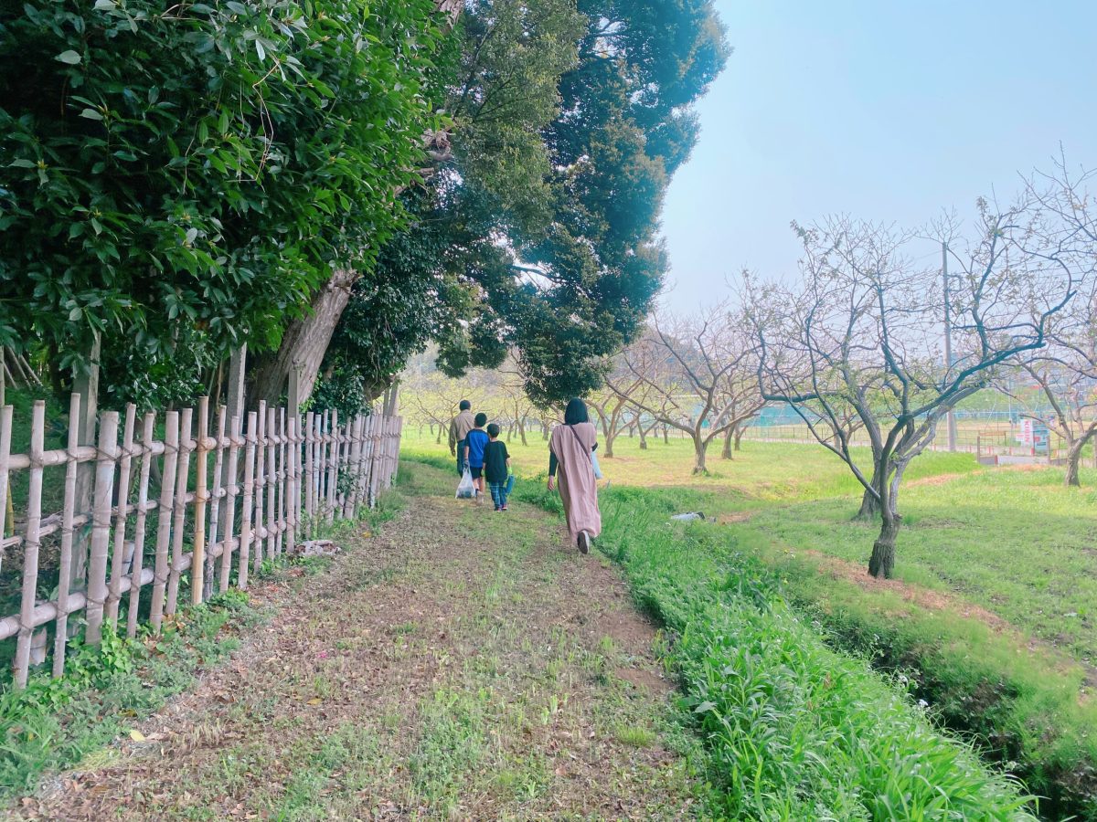 前ヶ崎自治会館から竹林に向かう道
