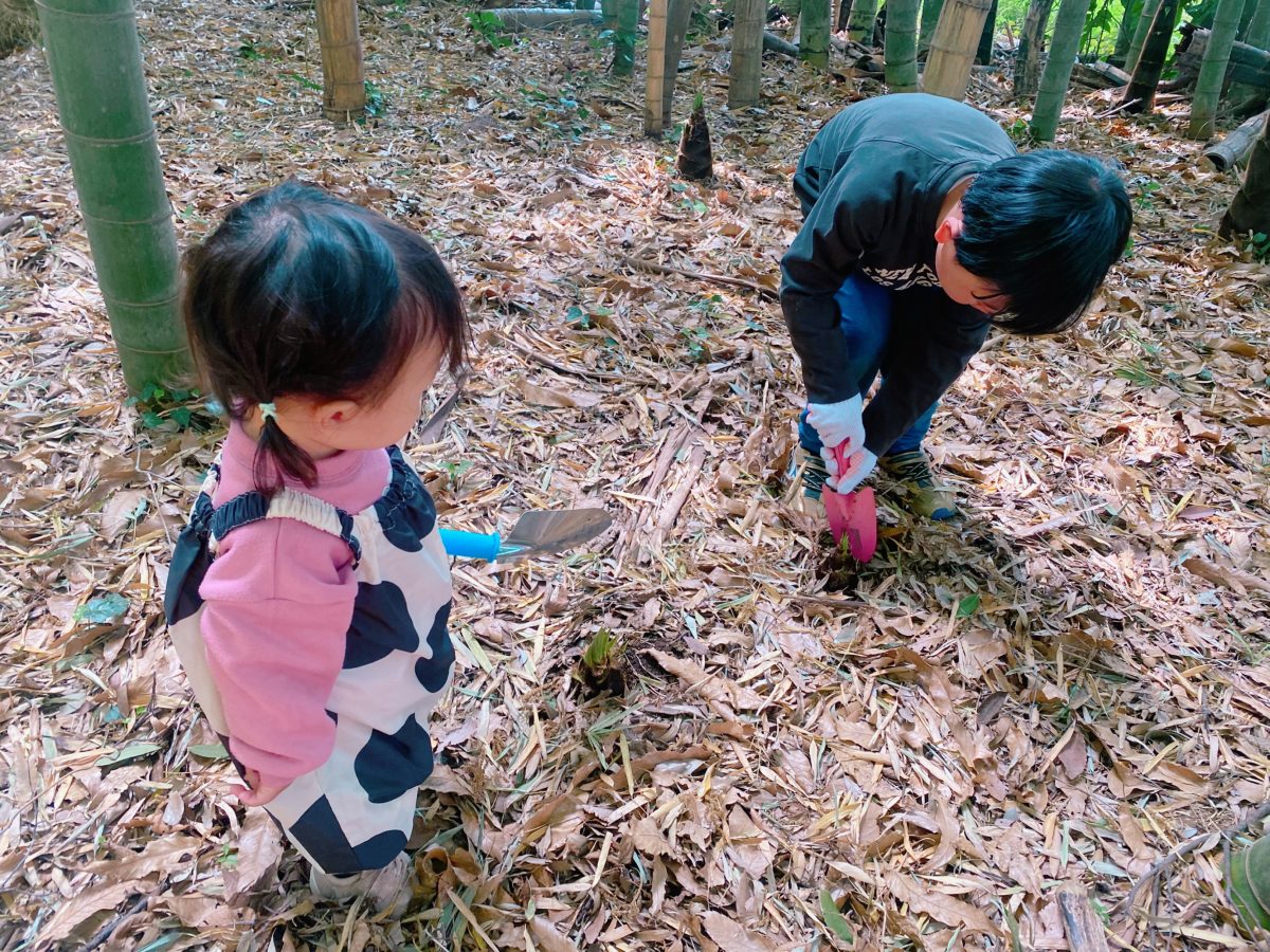 6歳息子が掘りたいタケノコを発見！1歳娘もやる気満々！！