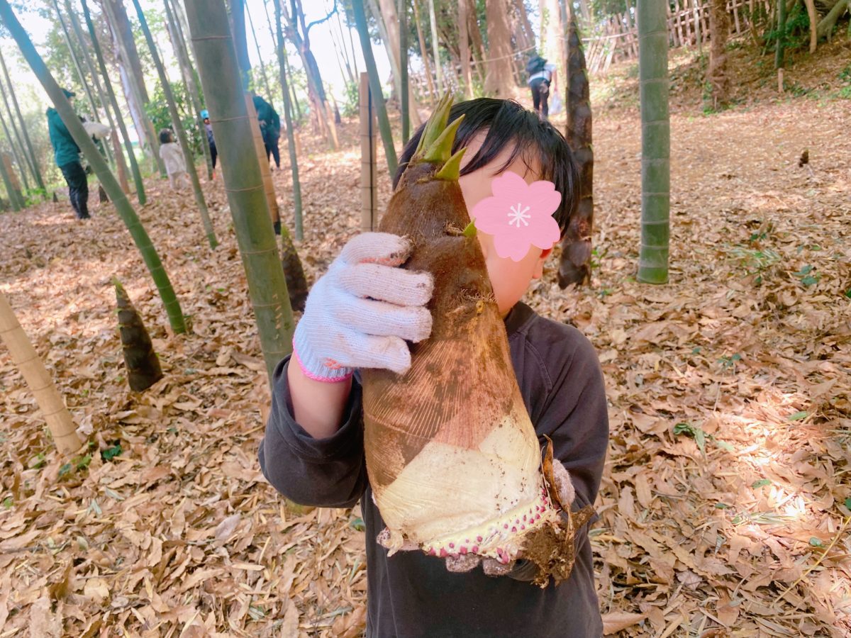 とれた〜〜！！汗びっしょり(^^)大きなタケノコが掘れました！掘ったタケノコは1キロなんと500円というお得すぎるお値段で購入！持ち帰れました