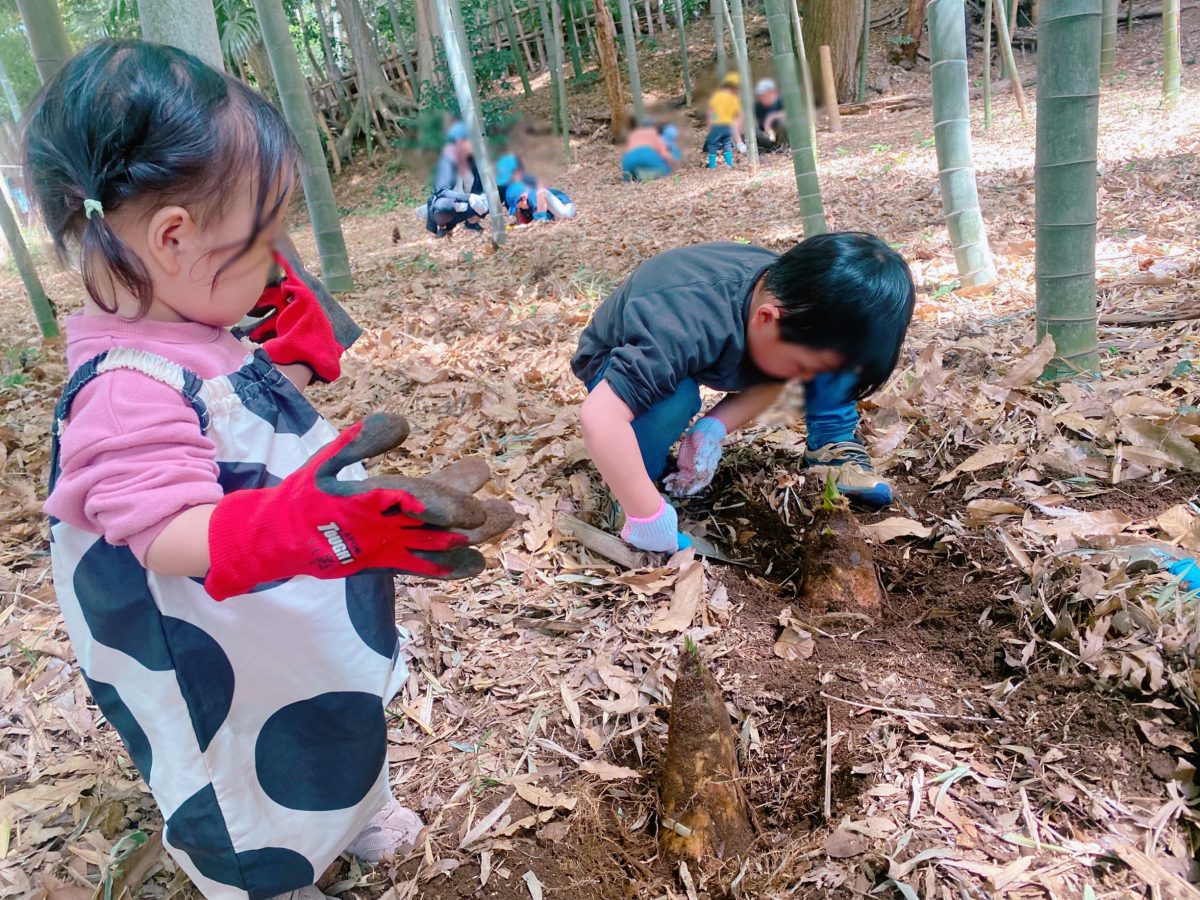 親子で協力して2つのタケノコを掘り出す〜地面を掘っていくと、あちこちに張り巡らされた竹の根っこが出現！なかなかの力仕事に私も息子も真剣になり汗だくに。。。諦めずに掘り続ける息子の成長にも感動〜
