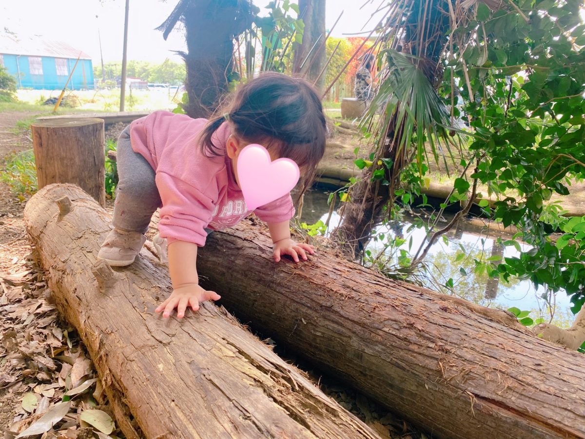 娘も登ったり降りたり、土に触れ豊かな自然を体感(o^^o)今回の【気まぐれ市】も自然をたっぷり満喫できる贅沢な時間を過ごし、人と人を繋ぎ、地域のあたたかさに感動する素敵な1日となりました(^^)