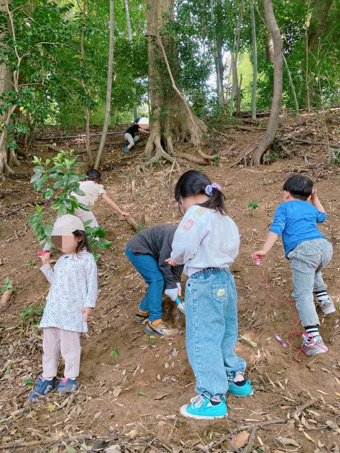 土に触れ、根っこをうまく掴んで斜面を登る〜！