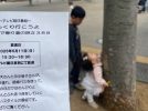 【流山市】放送は5月11日(日)予定『路線バスで寄り道の旅#388』おおたかの森でロケに遭遇！