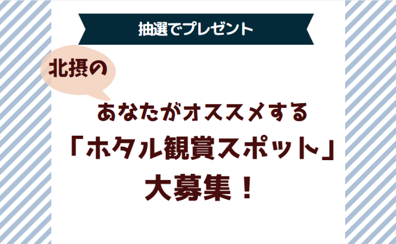 【抽選でプレゼント！】ホタルの鑑賞スポットの情報を募集中！「教えたい/教えて」で投稿してね！