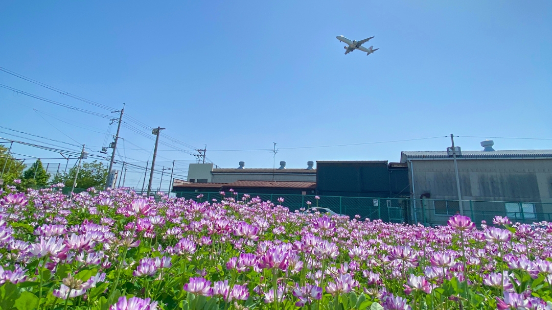 【豊中市】紙飛行機教室・大声コンテスト・レンゲ畑も！防災体験まで楽しめる「ふれあい緑地フェスティバル2025」に親子で行ってきた！