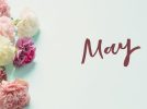 【今週末のイベントまとめ♪】2025年5月10日(土)・11日(日)編
