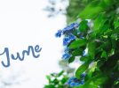 【今週末のイベントまとめ♪】2025年5月31日(土)・6月1日(日)編