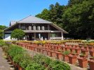 【柏市】2025年5月20日(火)-25(日) グリーンウィーク＠あけぼの山農業公園