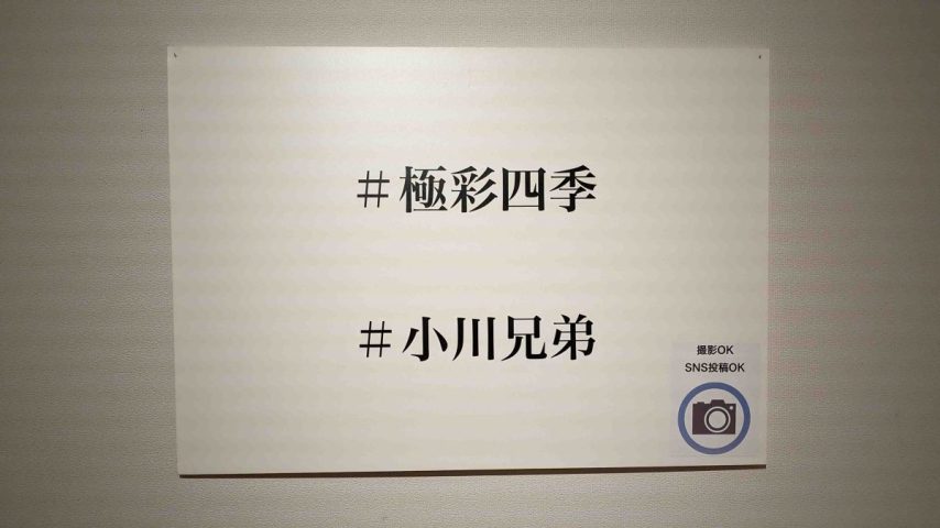 【柏市】2025年6月4日(水) ～ 6月15日(日) 小川兄弟 写真展「極彩四季」開催！＠中村順二美術館