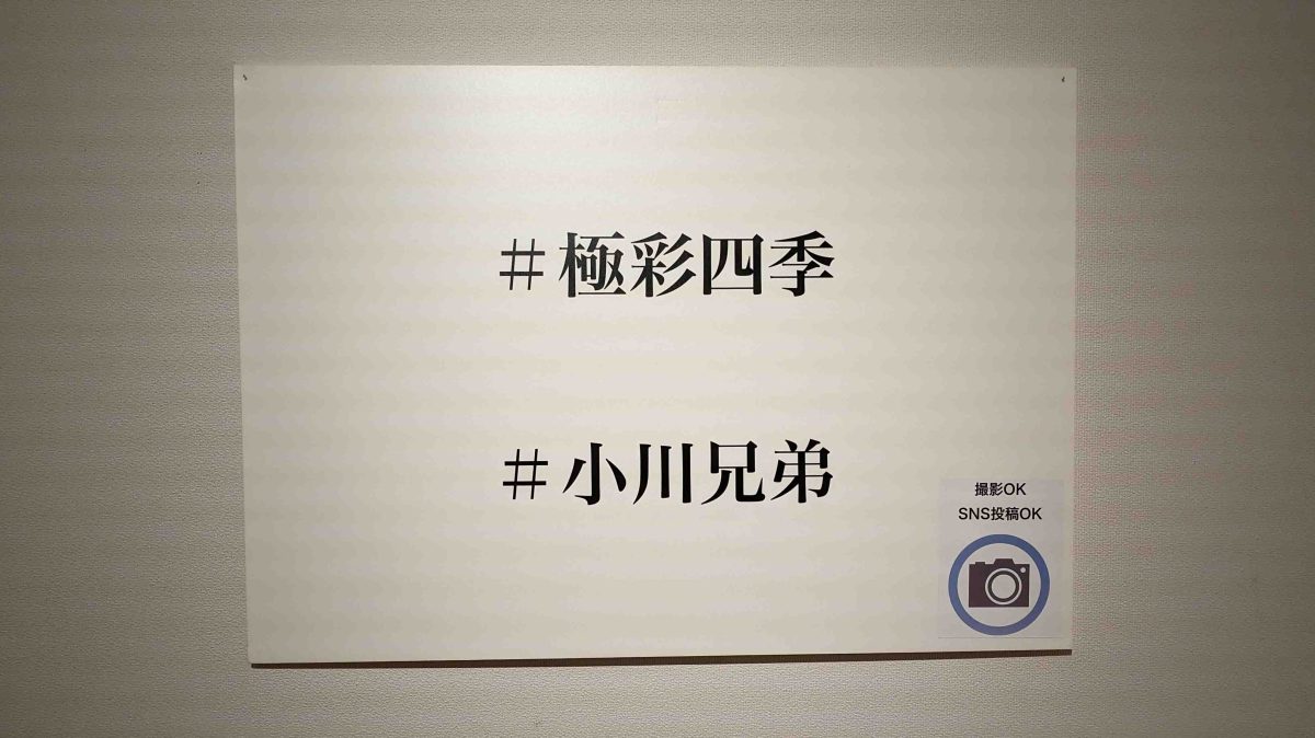 【柏市】2025年6月4日(水) ～ 6月15日(日) 小川兄弟 写真展「極彩四季」開催！＠中村順二美術館