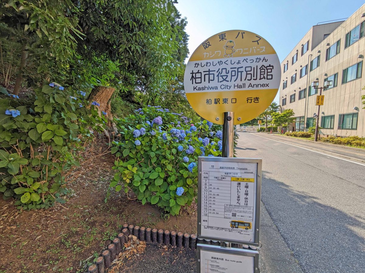 柏市役所別館バス停。右手の建物が柏市役所別館、左手がまちなか緑地。