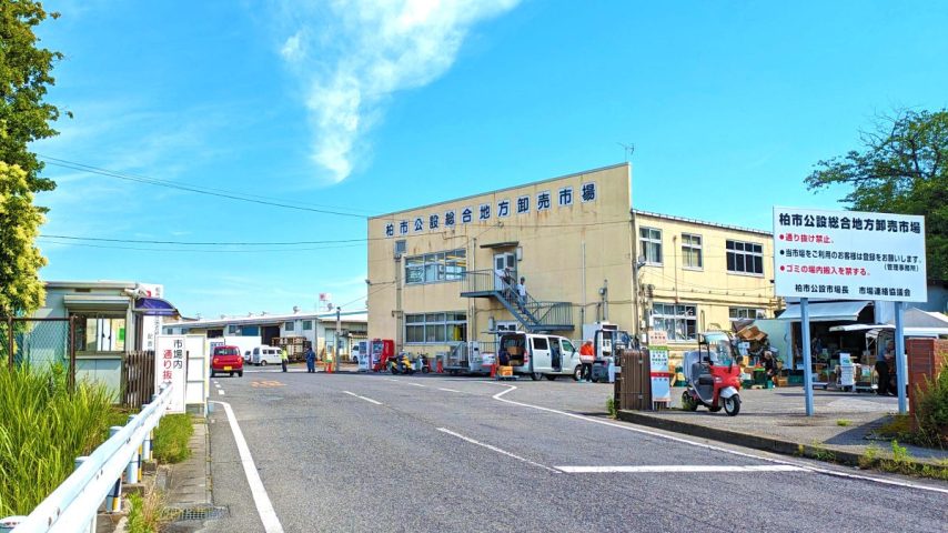 【柏市】2025年5月24日(土)は柏市公設市場一般開放デー♪~旬な魚や季節の野菜などが揃ってます~