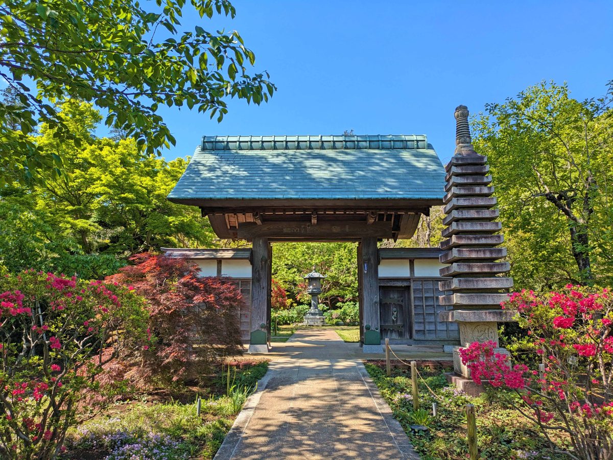 観音寺の山門