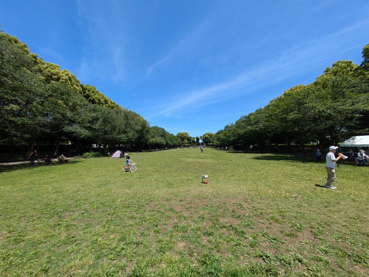 西十余二第一公園。広くて緑豊かでいい公園です。