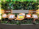 【柏市】オンライン柏学検定振り返りvol.10～柏市文化複合交流施設の愛称を問う出題～