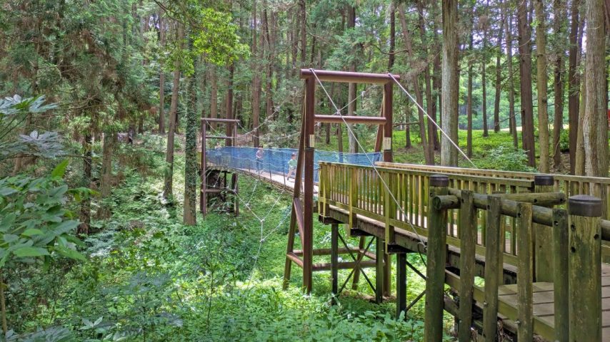 【柏市】柏市全域巡りvol.37 片山～手賀の丘公園のあるエリア～