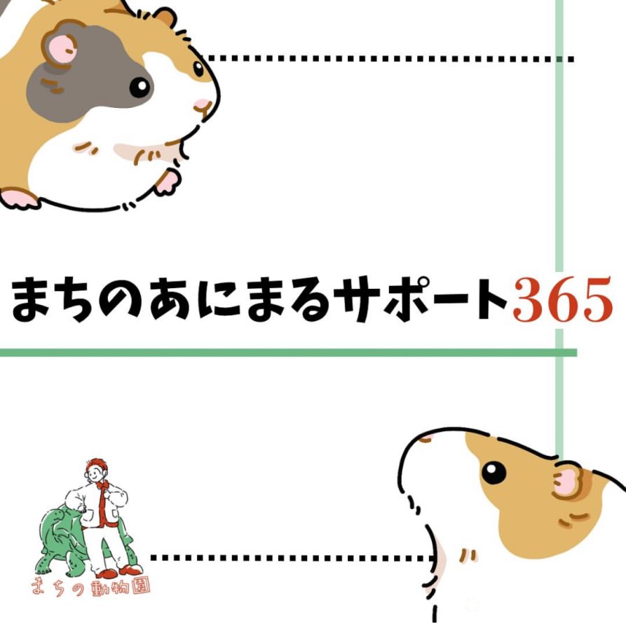 2025年2月にまちの動物園さんの新サービスとしてリリースされました《画像はまちの動物園より提供》