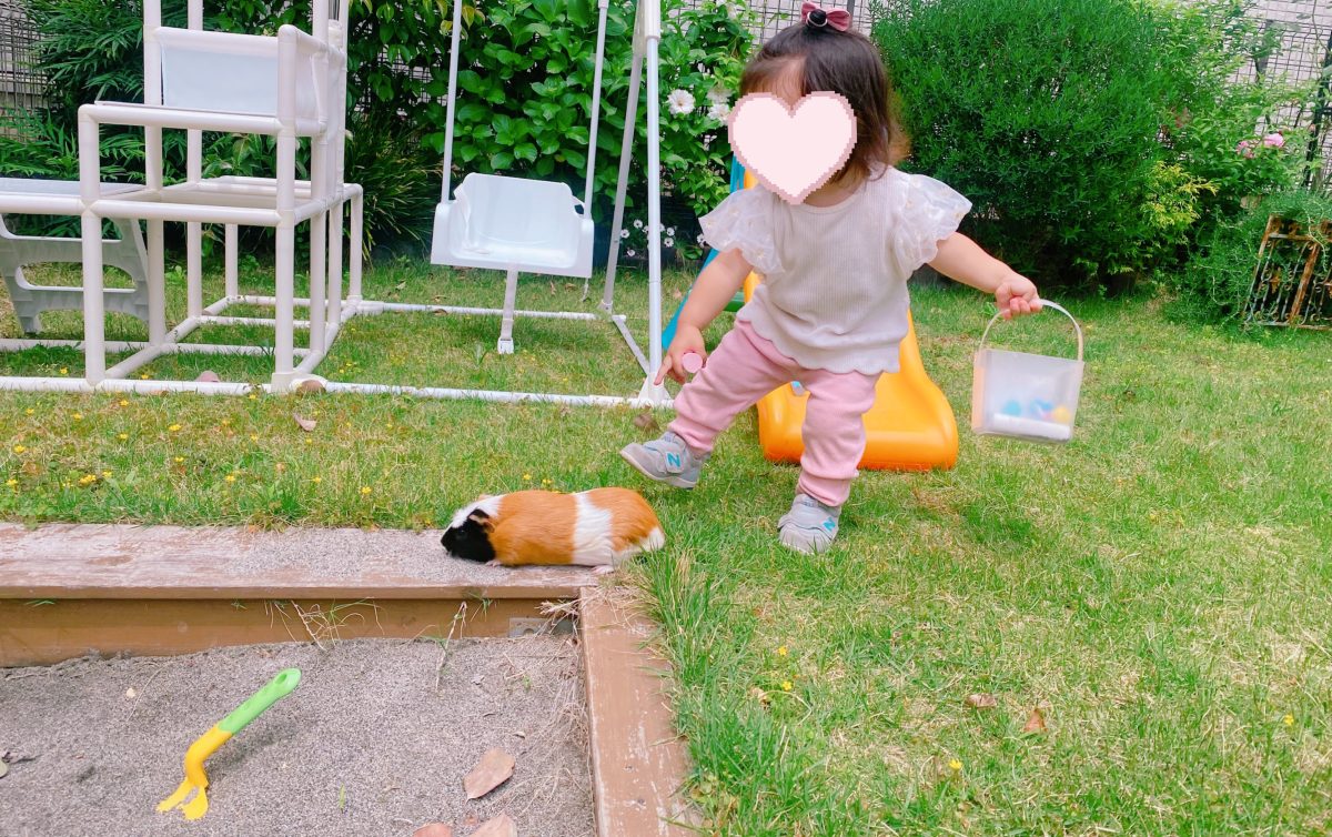「動物と暮らすっていいかも」そんな第一歩を、我が家のように踏み出してみたい方に、ぜひおすすめしたいです♡