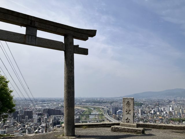 【池田市】新緑のトンネルを抜けて絶景へ！五月山ドライブウェイへGO