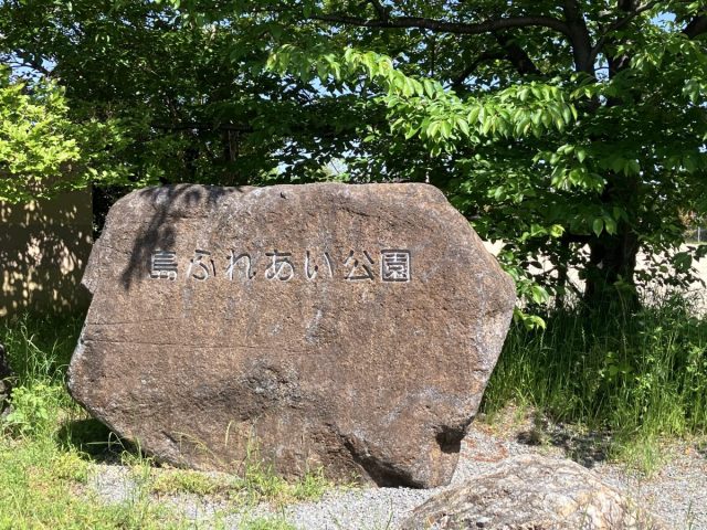 【茨木市】自然とあそぼう！ビオトープのある「島ふれあい公園」