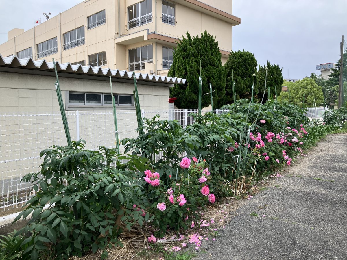 穂積小学校がすぐ横に見えます