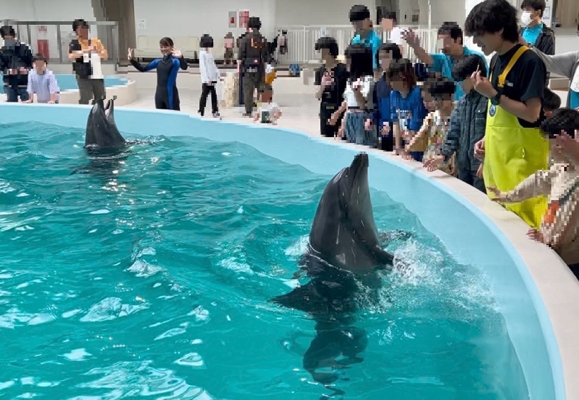 子どもたちの目が　キラキラしていたのが　印象的でした