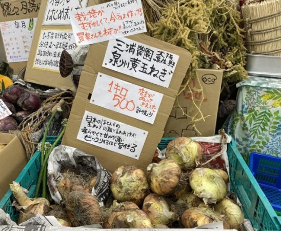 黄玉ねぎ