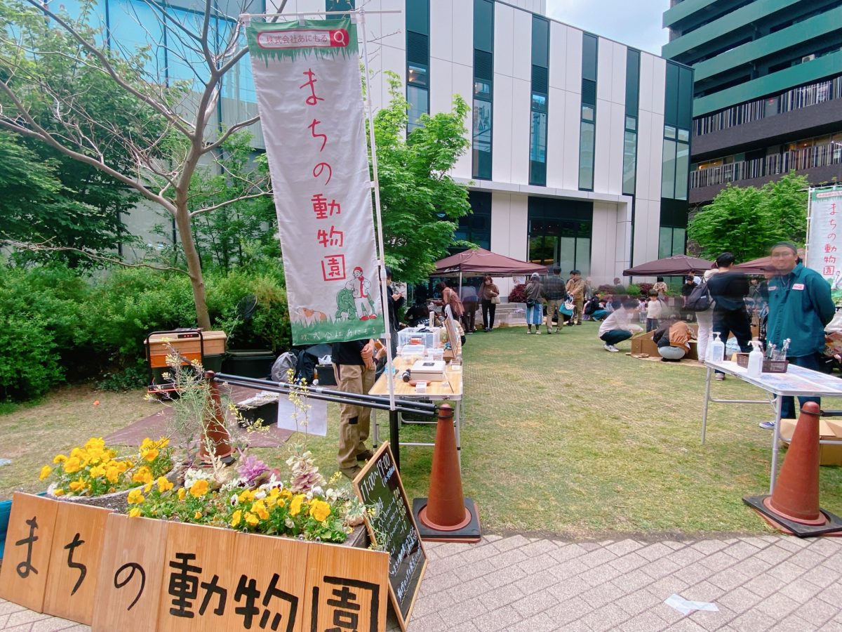 【まちの動物園】可愛い動物たちの出張がありました(o^^o)大盛況でした