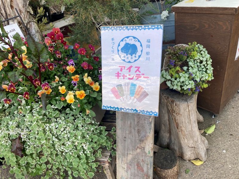 かわいいアイスキャンデーの案内